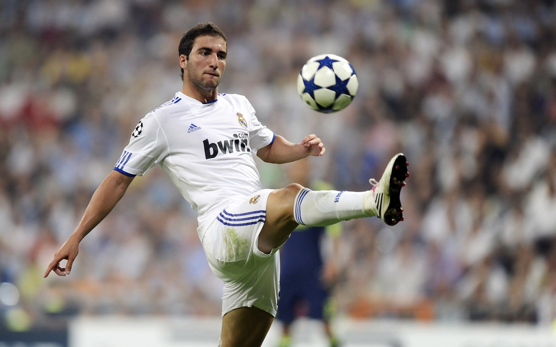 乐鱼体育APP官方下载-十年还清十亿债,陈年坚持背后的故事,第十年年底,债都还清了