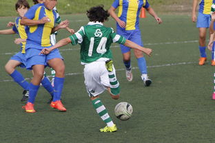 leyu乐鱼体育综合-国家队海外集训引入对抗赛 提高实战经验,国家队集训视频